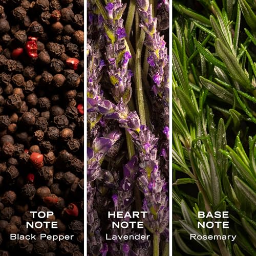 Nautica Blue Eau de Toilette 3.4 fl oz (Pack of 1), Notes of Basil, Jasmine, and Cedarwood, Men's Fragrance, Long Lasting, Everyday Fragrance, Travel Size